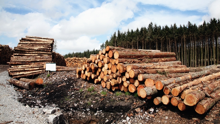 What the new EU-Indonesia timber agreement means for our forests, our communities, and the future of global trade